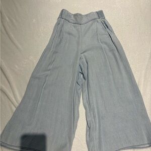 Aritzia Wide Leg Pants in Light Blue